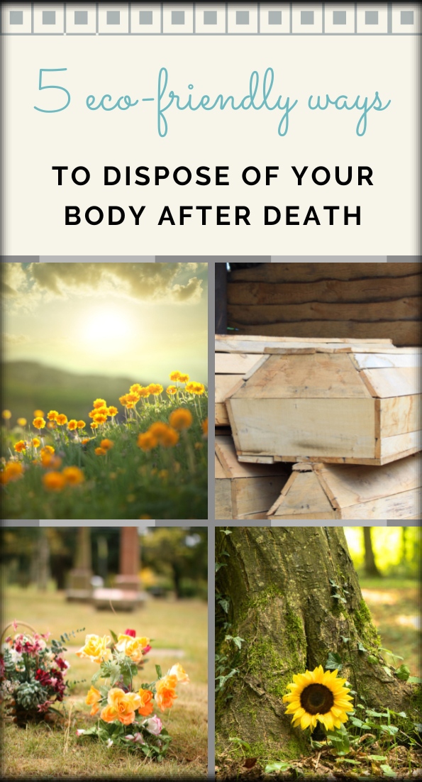 5 Eco-friendly Ways to Dispose of Your Body After Death collage
