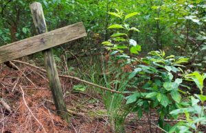 rustic cross marking burial site in woods