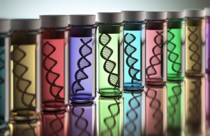 DNA chains in multicoloured cylindrical flasks